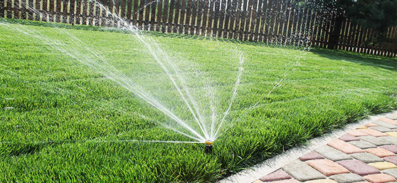 Автоматический полив