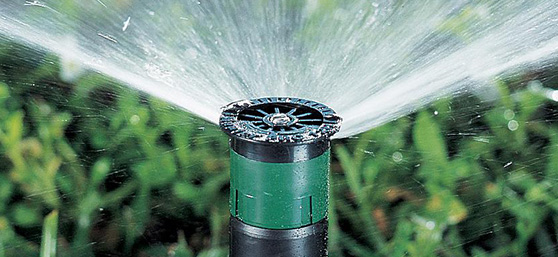 Дождеватели спрей