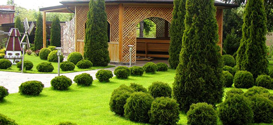 Ландшафтный дизайн